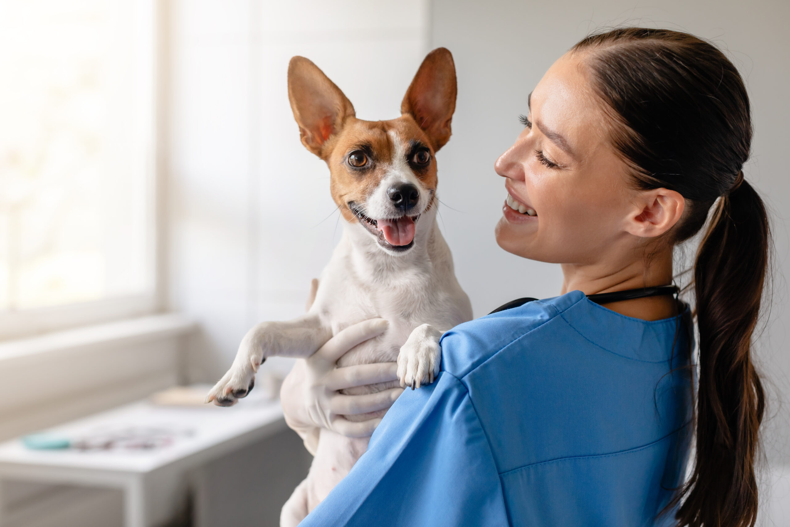 Veterinario Bibione: servizi per il tuo pet in vacanza