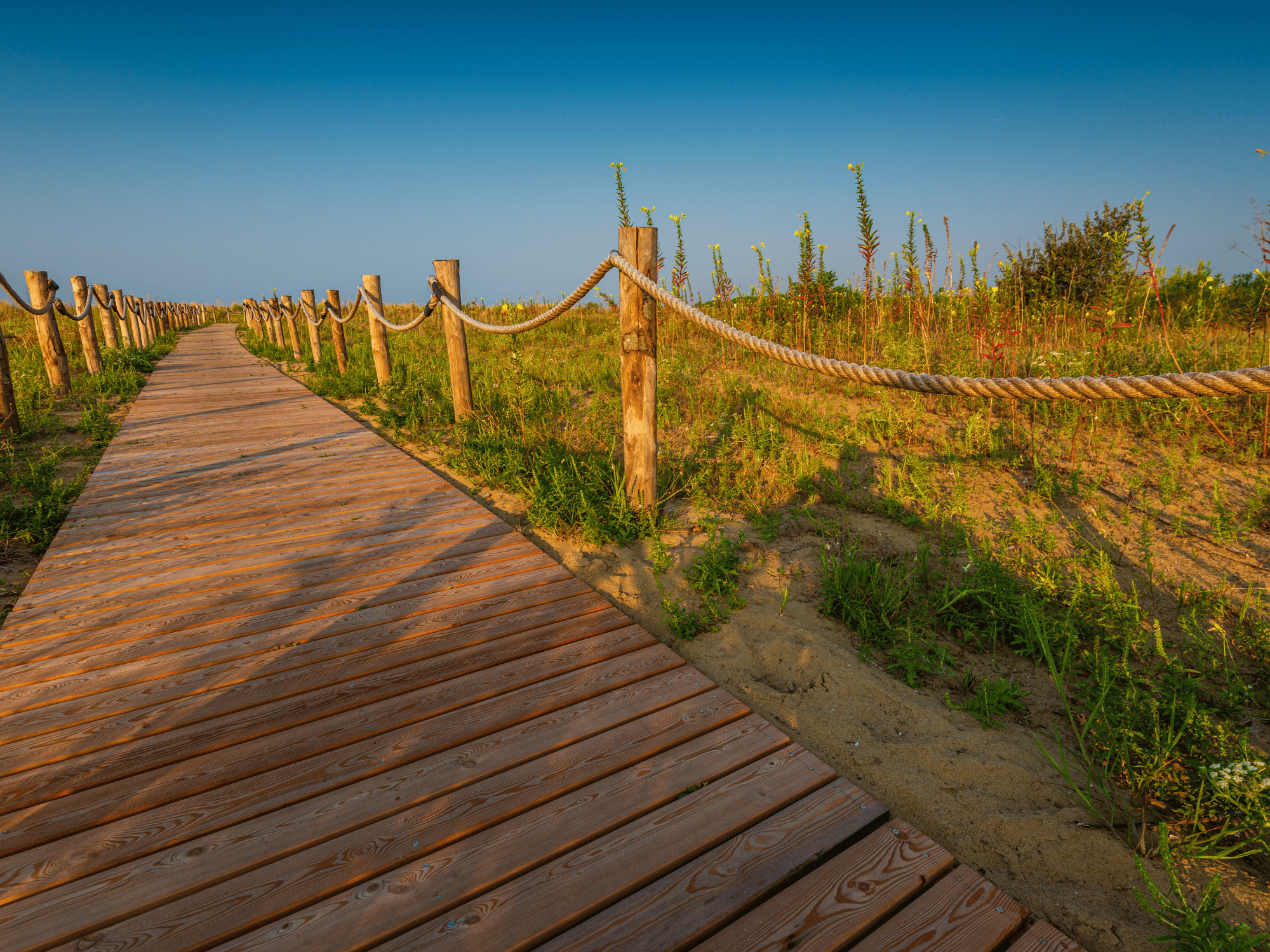 Bike Touren in Bibione: 5 Top Fahrradrouten entdecken