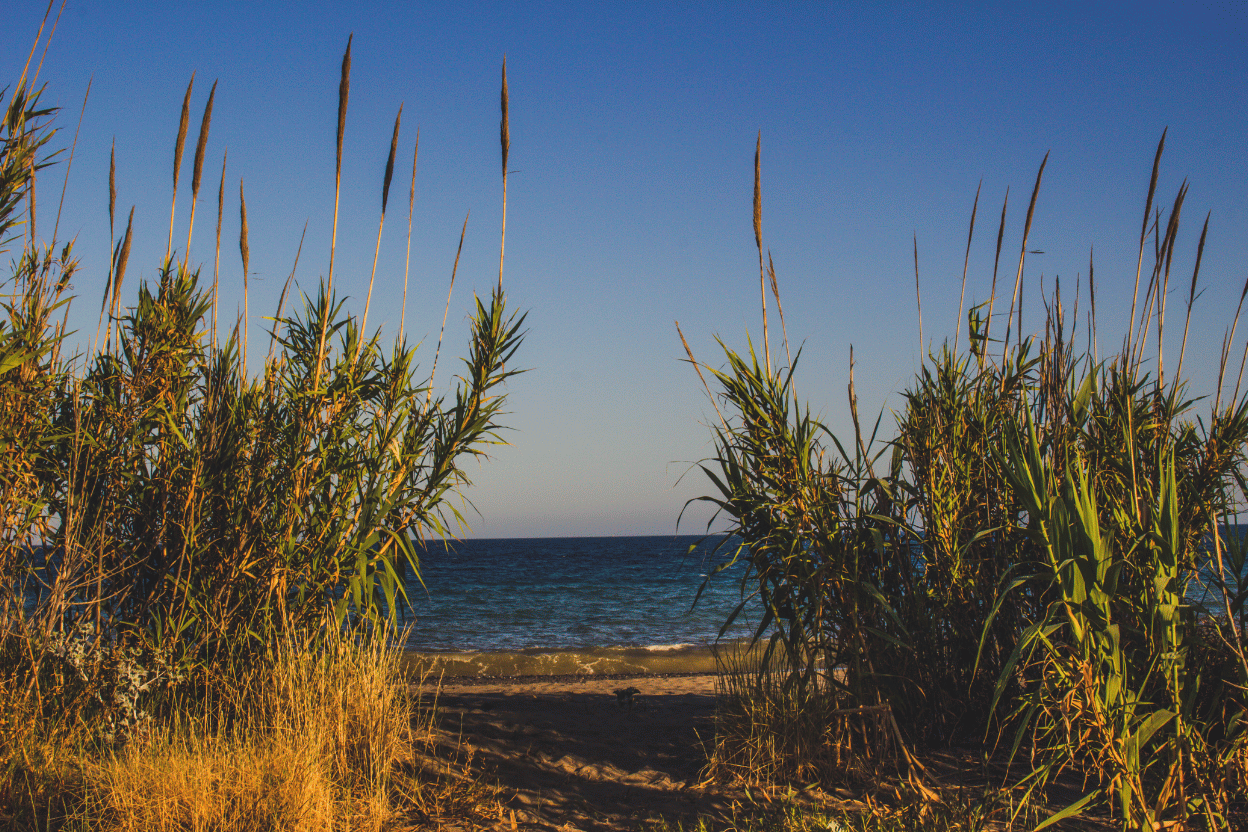 La Brussa: Die magische Naturoase in Vallevecchia
