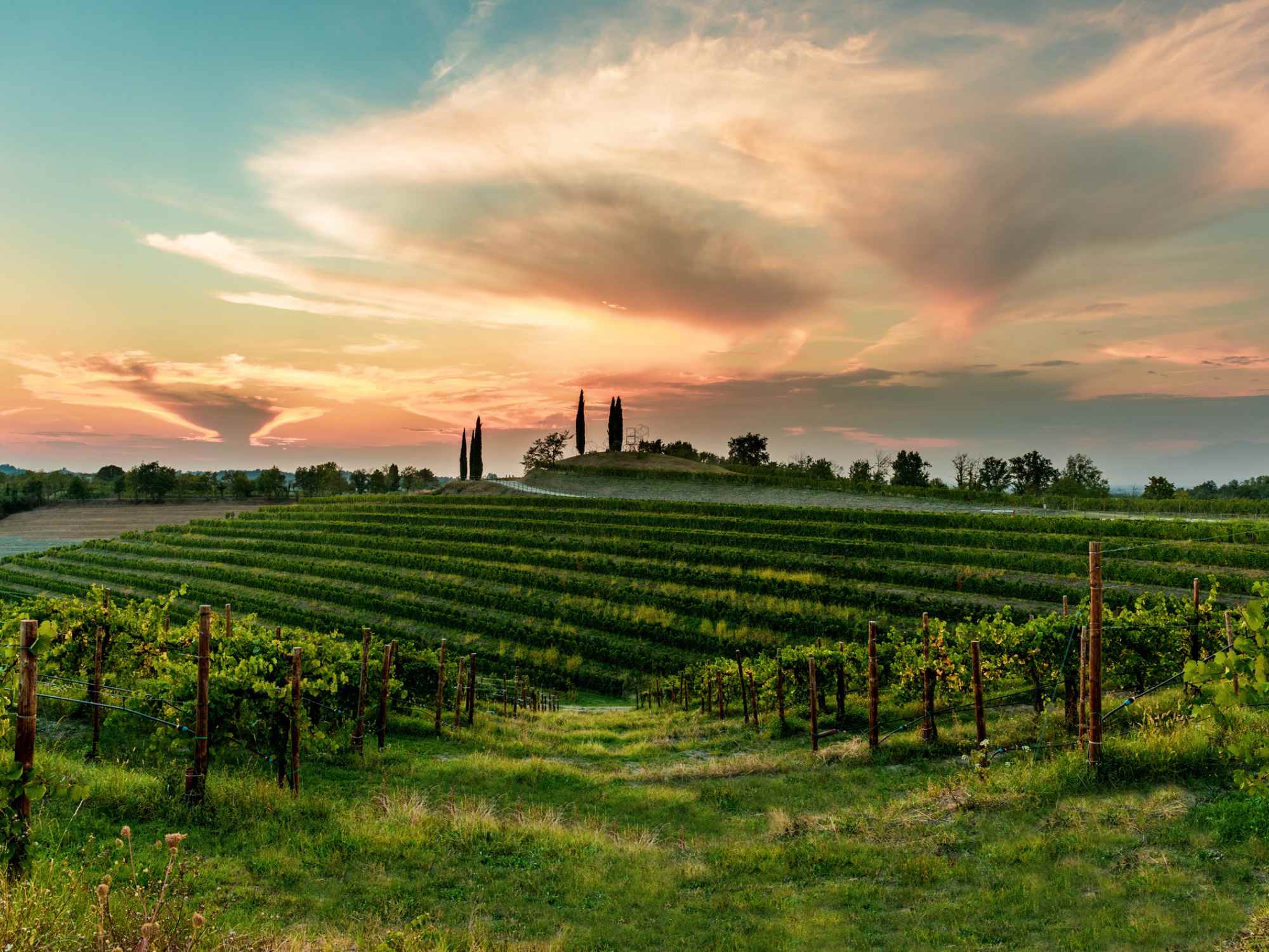 Lison Pramaggiore DOC wine route: discover Veneto’s hidden wine gem